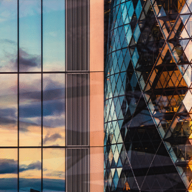 Insights for the Year Ahead